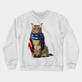 Patriotic Cat 4th Of July Men USA American Flag Crewneck Sweatshirt